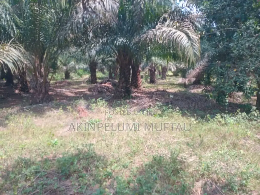 Farmland for Sale
