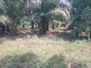 Farmland for Sale