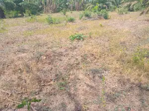 Farmland for Sale