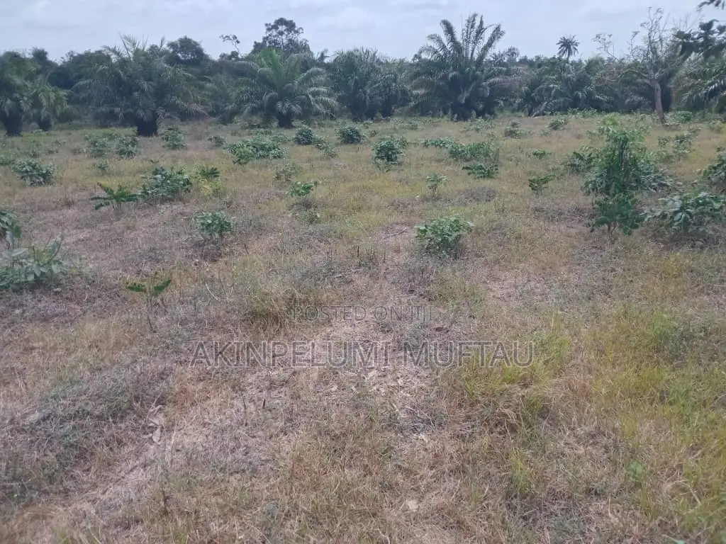 Farmland for Sale