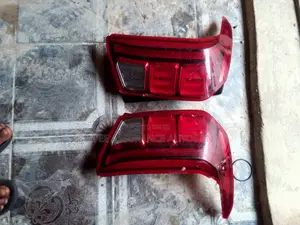 Back Light Hyundai Palisade 2020 Model