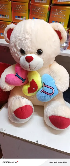 60cm Teddy Bear