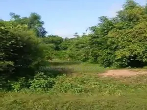 Land For Sale : Size- 1,200sqm Purpose - Residential Title- C Of O