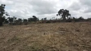Commercial Land For Sale – Petrol Filling Station Use : 9,000 Sqm