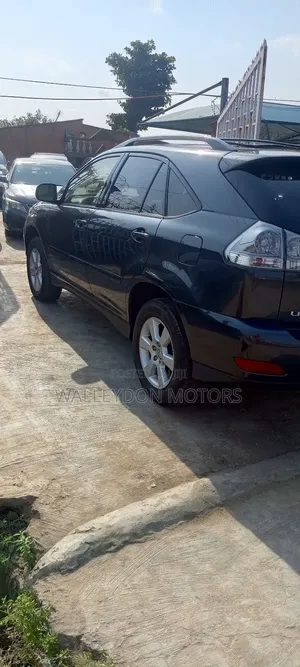 Lexus RX 330 2005 Gray