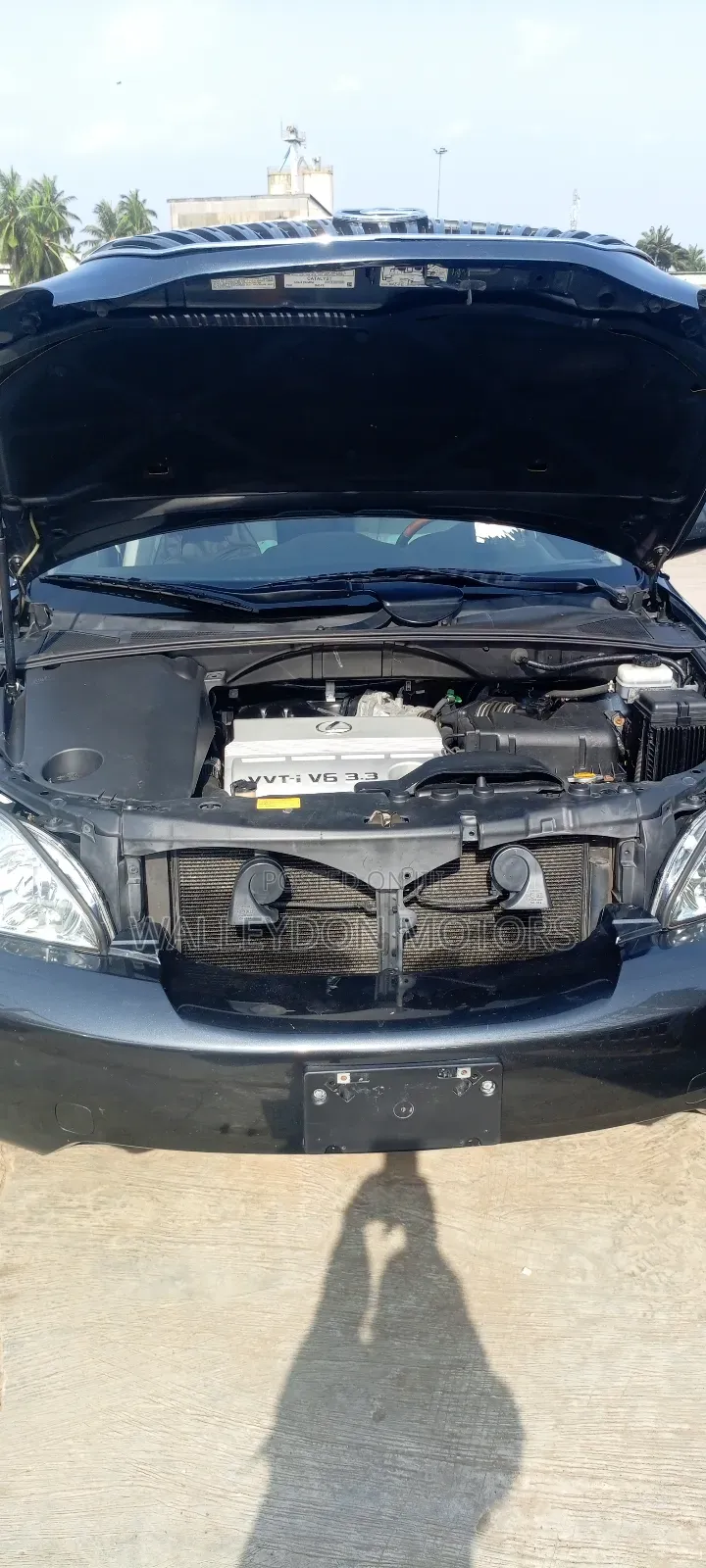 Lexus RX 330 2005 Gray