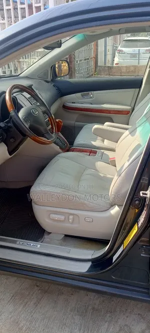 Lexus RX 330 2005 Gray