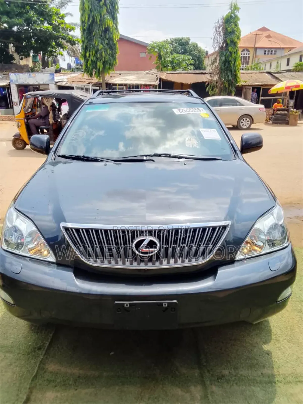 Lexus RX 330 2005 Gray