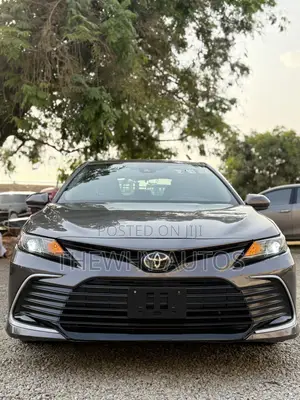 Toyota Camry LE 2021 Gray