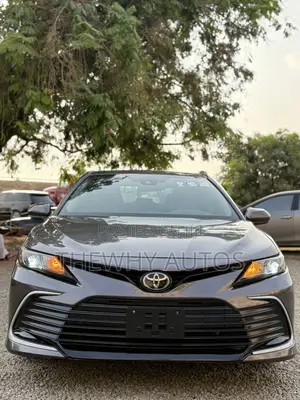 Toyota Camry LE 2021 Gray