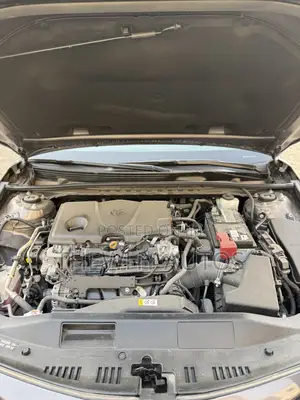 Toyota Camry LE 2021 Gray