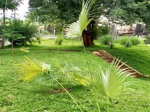 Landscaping Services