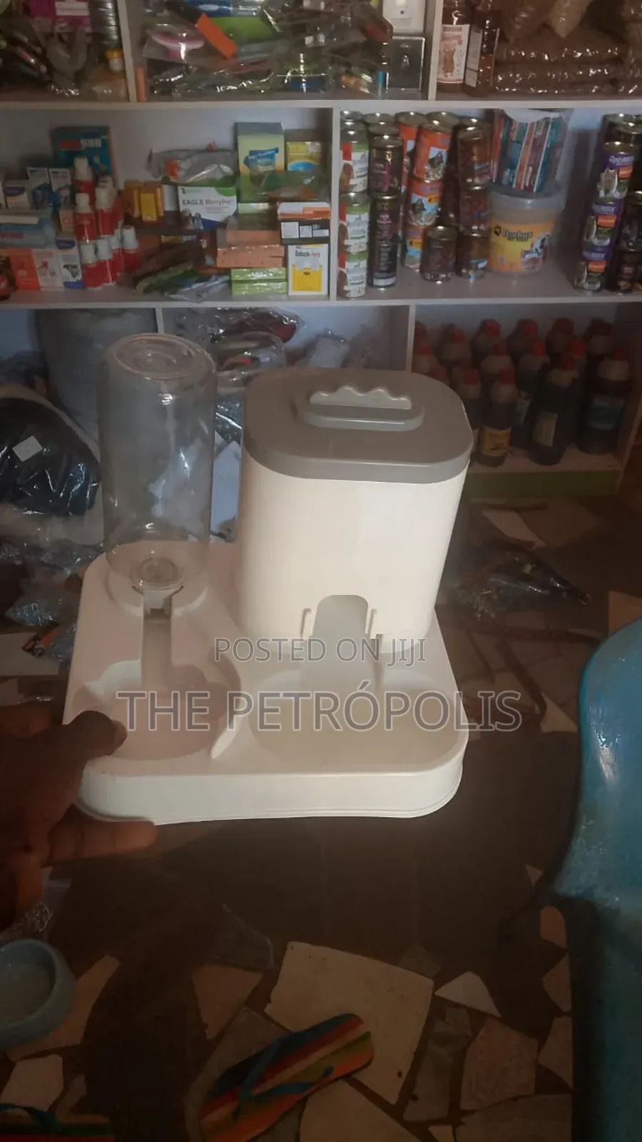 Pet Plates for Sale