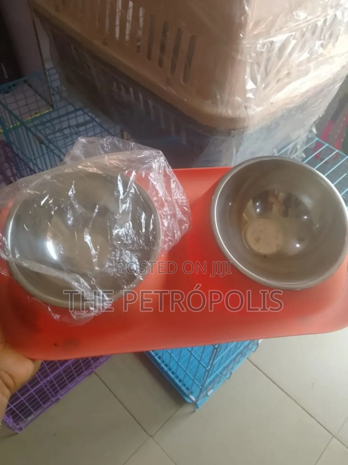 Pet Plates for Sale