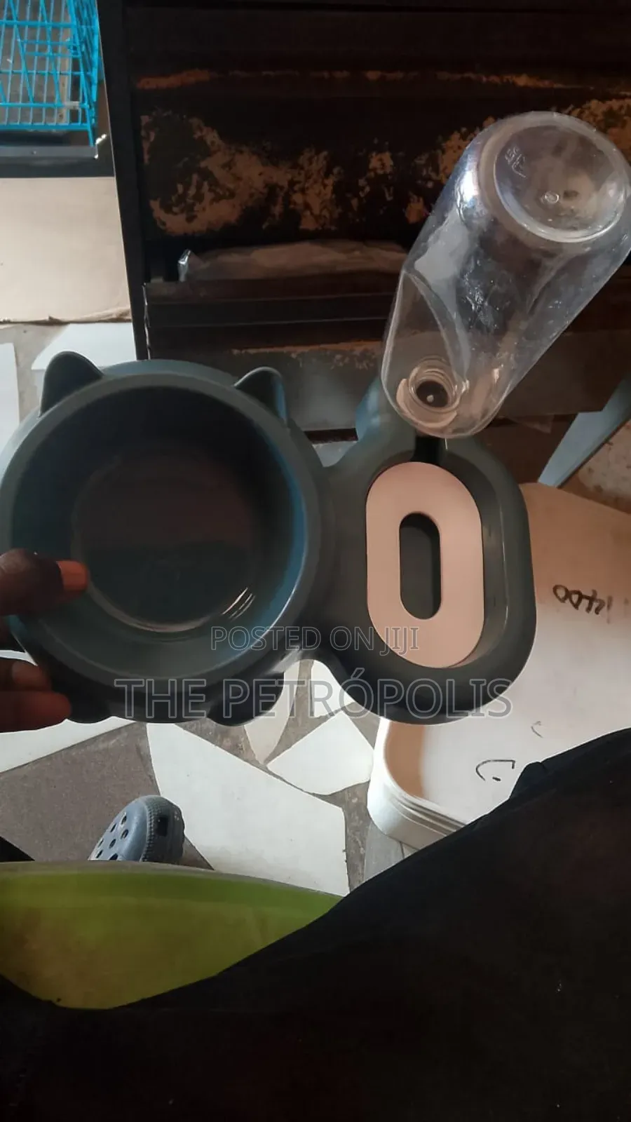 Pet Plates for Sale