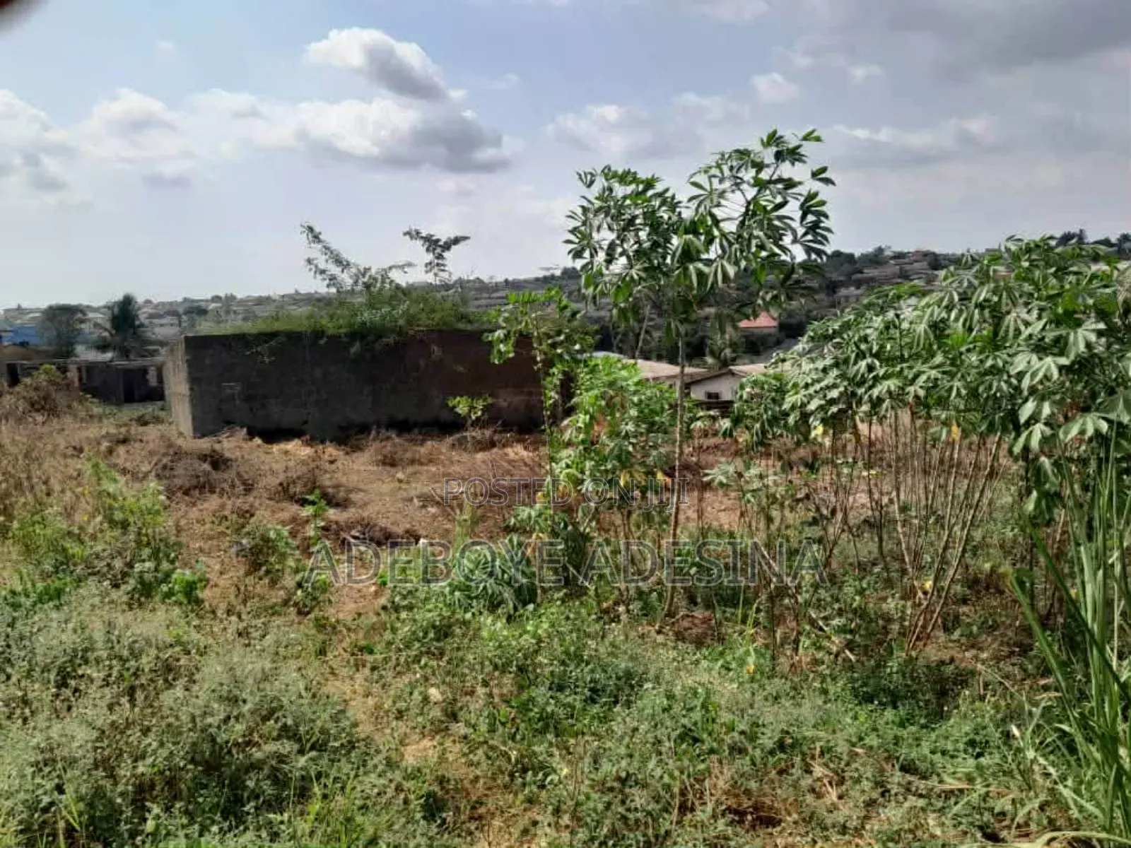One Half Plot With General Survey Registered