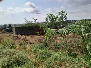 One Half Plot With General Survey Registered