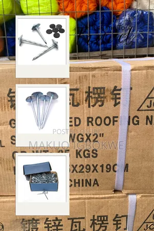 Carton of Galvanized Roofing 2inches Nails With Umbrella Heads