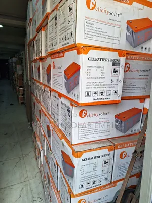 Felicity 12-200 Deep-Cycle Gel Batteries