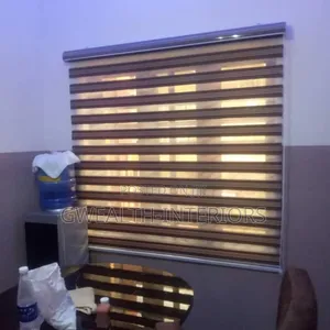 Beautiful Window Blinds