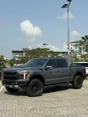 Ford F-150 Raptor 2024 Gray