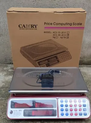 30kg Digital Computing Scale