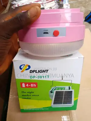 Dp Light With Solar Panels