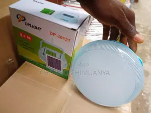 Dp Light With Solar Panels