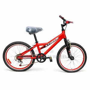 Extreme 22" Gear Bicycle- Neat Chassis With Upgraded Features 