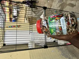Parrot Feed
