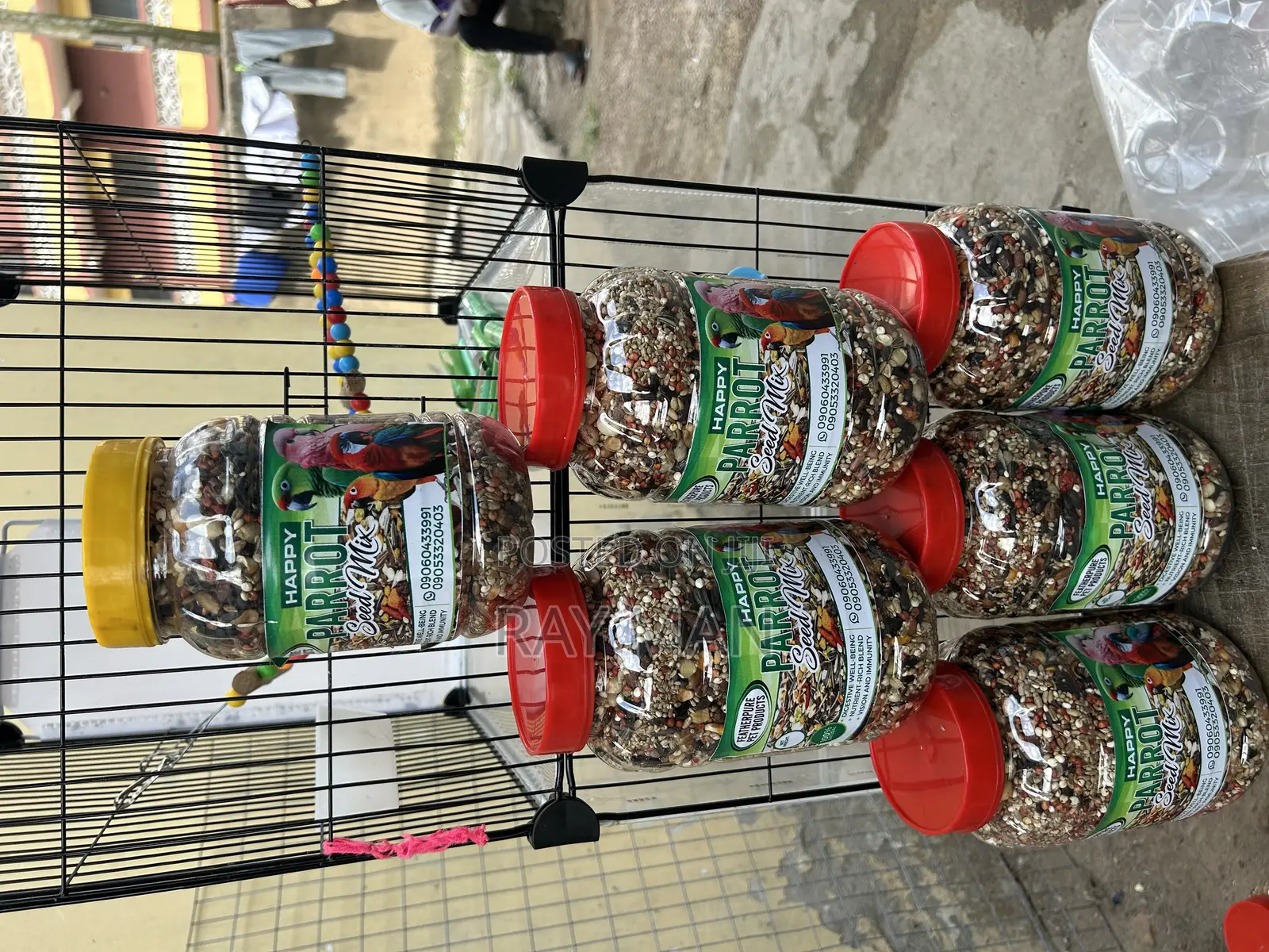 Parrot Feed