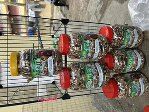 Parrot Feed