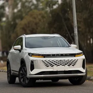 New Exeed LX 2025 White