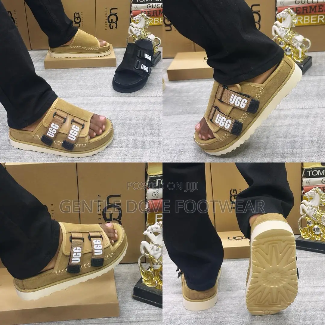 Original Ugg Palms