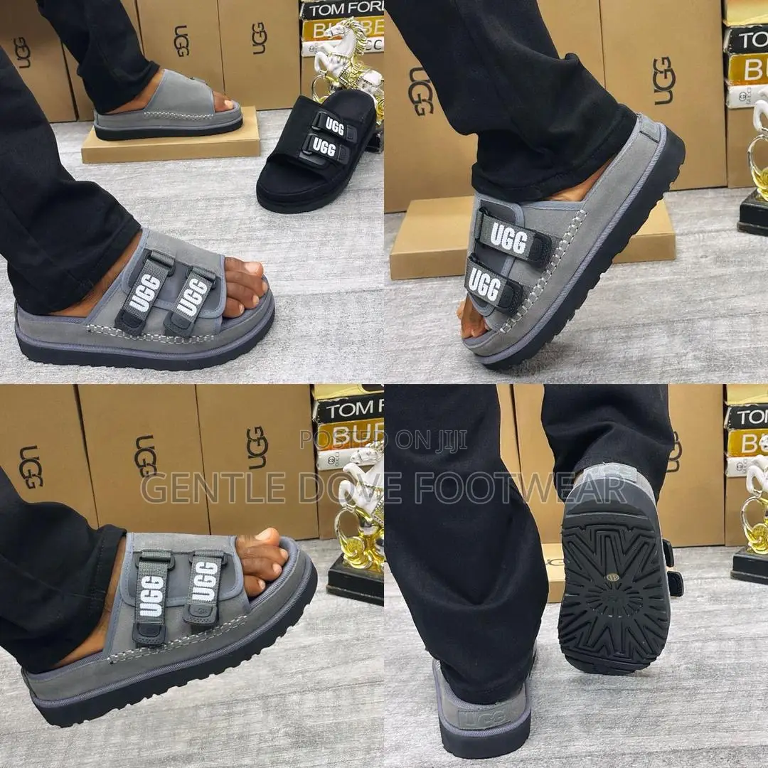 Original Ugg Palms