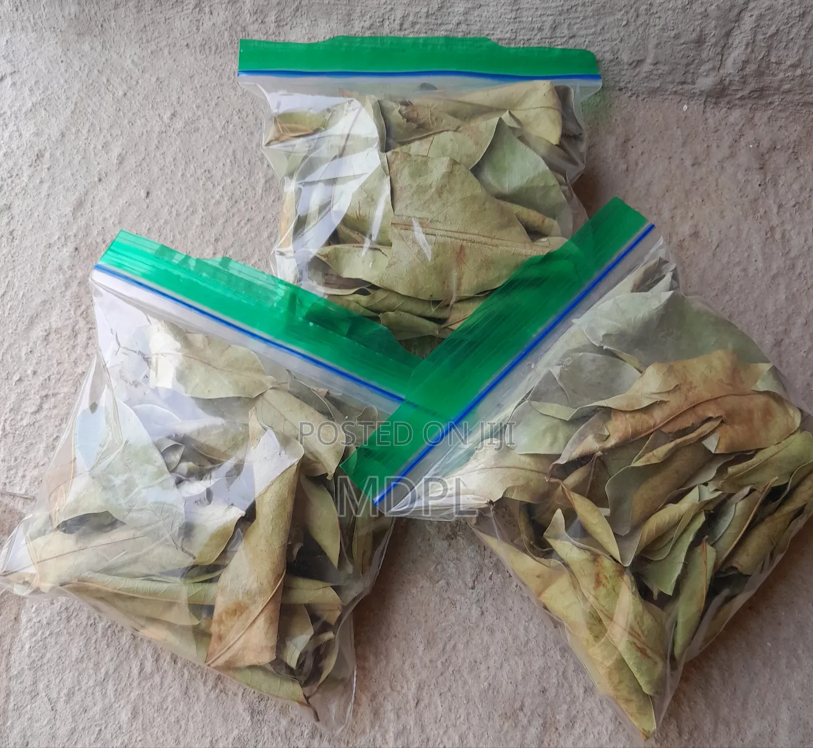 Soursop Leaves (Dried)