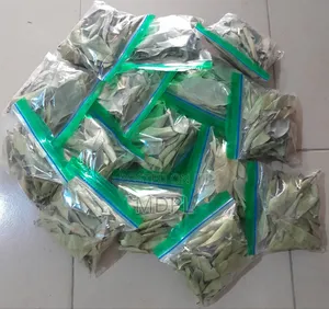 Soursop Leaves (Dried)