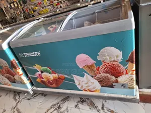 Snowsea Ice Cream Freezer/Chiller 480 Litres Sc-480y