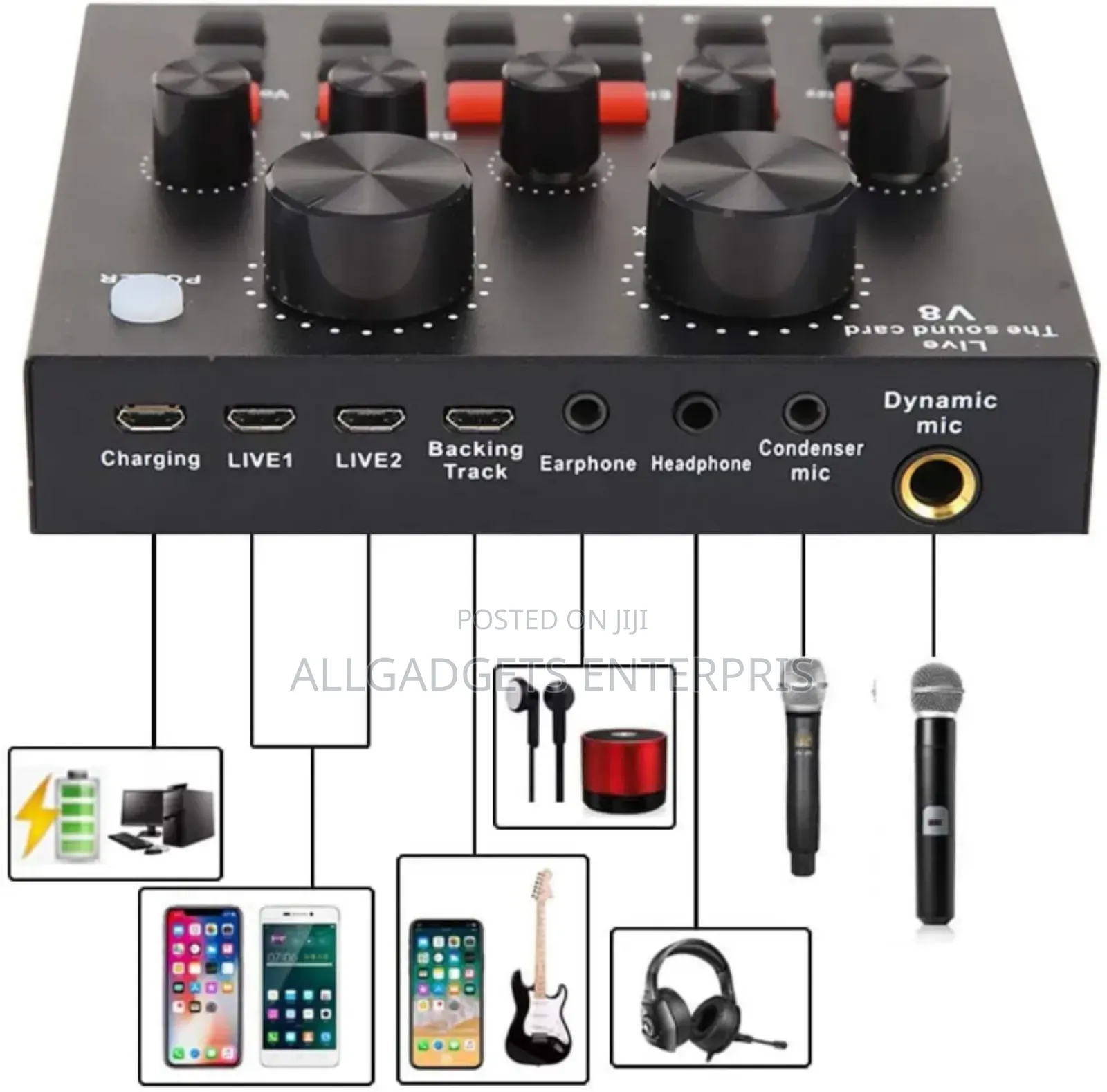 Professional Condenser Microphone