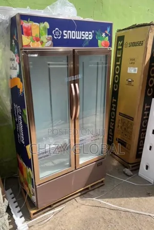 Snowsea Double Door Showcase With 2years Warranty and Safe Delivery