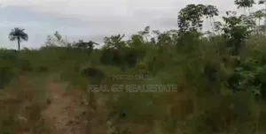 100 Ft 100 by St Tomosis Igbuzo Delta State Off Asaba