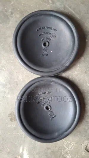 Wilden Pump Diaphragm Rubber