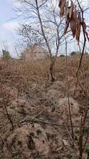 Land for Sale Behind Anamco New Heaven Extension Enugu