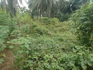 Land for Sell