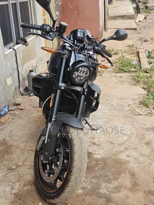 Indian 2022 Black