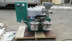 Industrial Groundnut Oil Extractor 4ton