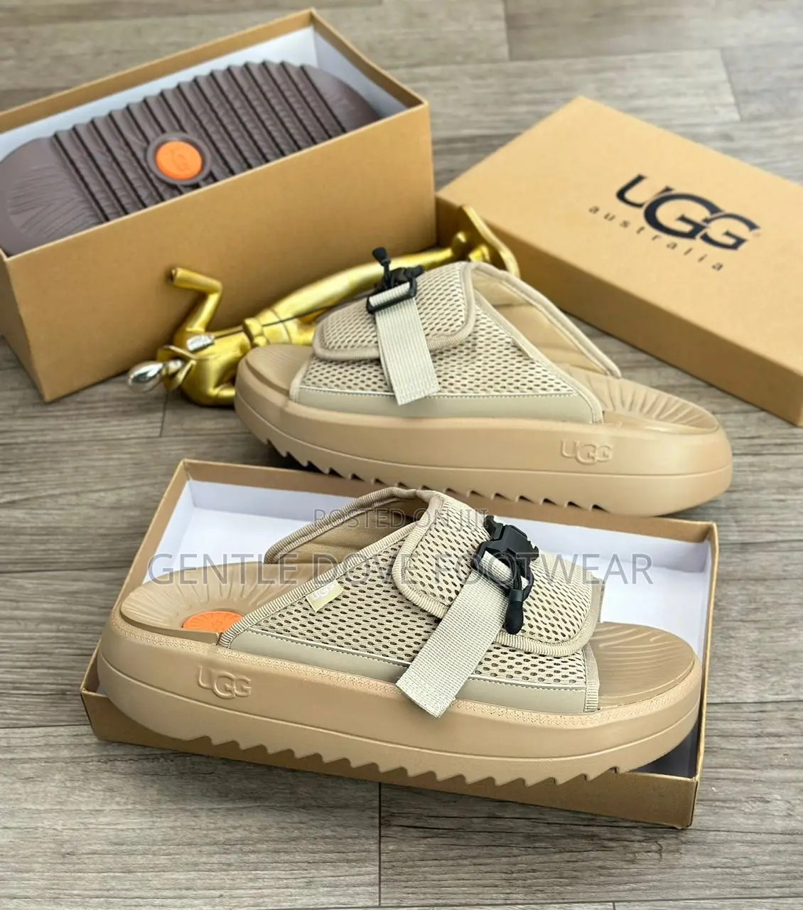 Original Ugg Palms