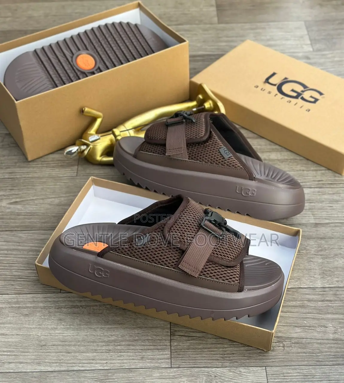 Original Ugg Palms