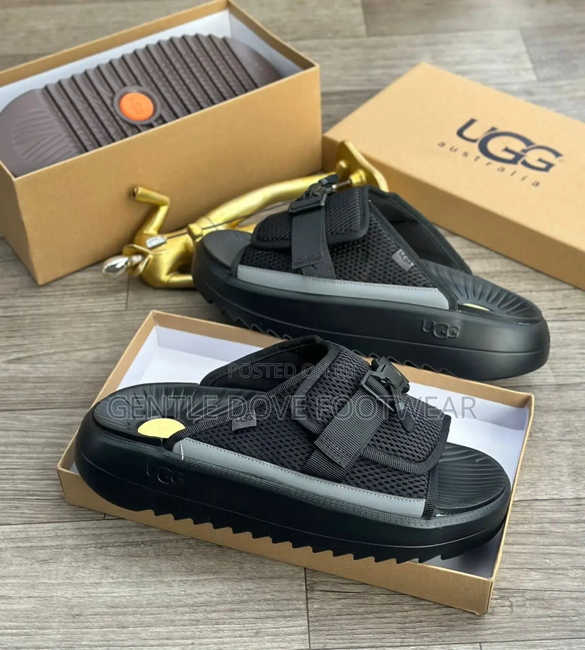 Original Ugg Palms