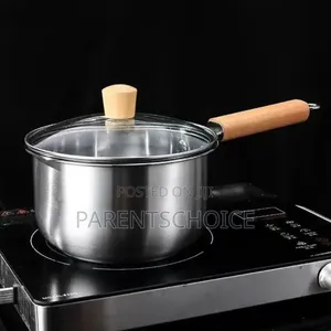 Stainless Steel Saucepan